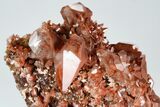 Calcite Crystal Cluster with Hematite Inclusions - Fluorescent! #185703-2